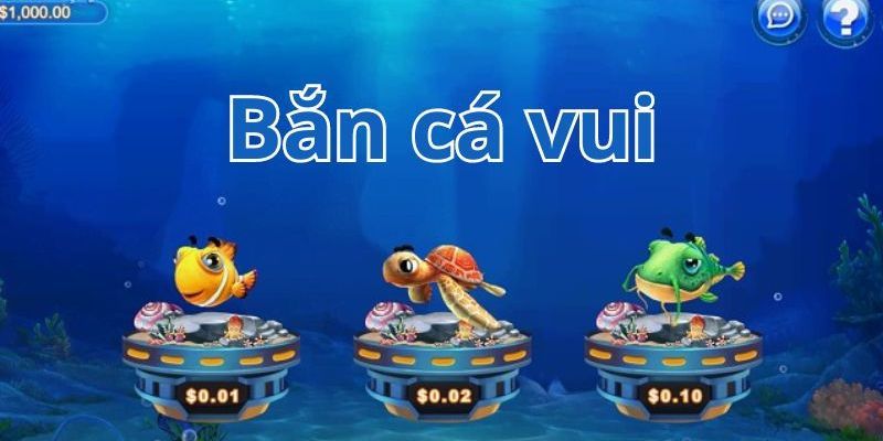 Cuộc phiêu lưu săn cá bingo đầy màu sắc