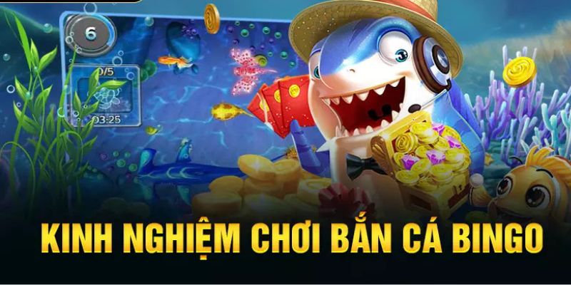 Mẹo chơi bắn cá bingo cho anh em thỏa sức khám phá